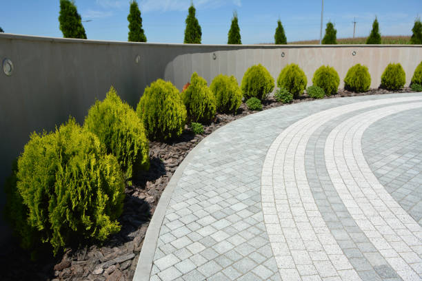 Best Residential Driveway Paver Services  in Holualoa, HI